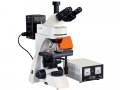 Эпифлуоресцентный микроскоп L3001 