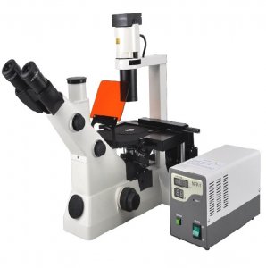 Инвертированный флуоресцентный биологический микроскоп BS-7020