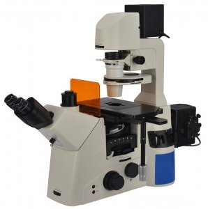 Исследовательский инвертированный флуоресцентный микроскоп BS-2095F (LED)